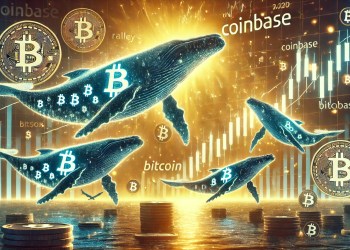 Bitcoin Whales