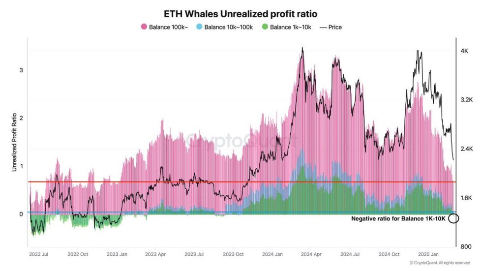 Ethereum Whales Unrealized Profit Ratio | Source: Quinten Francois on X