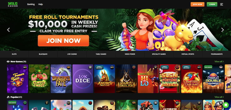 A screenshot showing the slots section at one of the best Visa Casinos, Wild Casino.