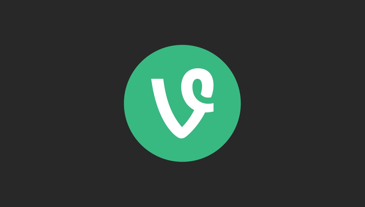 Vine Coinが21％急騰、ICO仮想通貨への注目も高まる中、残り1日で購入殺到