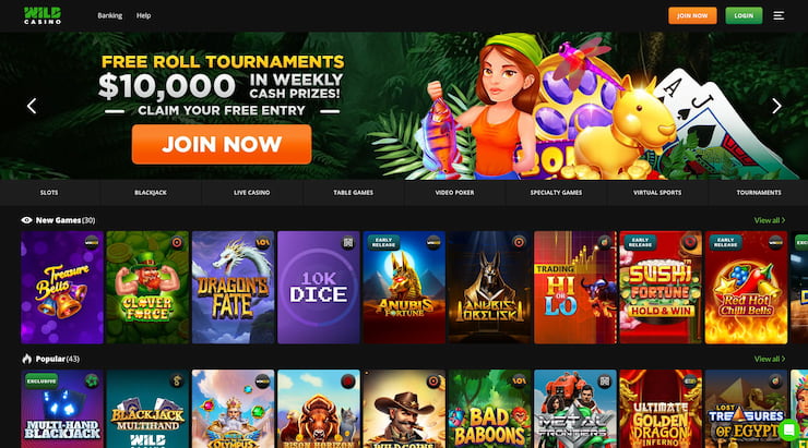 A snapshot of the Wild Casino lobby