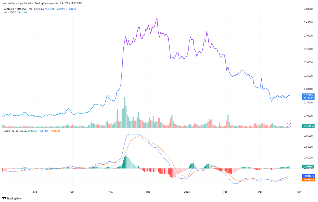 นักวิเคราะห์คาด Dogecoin อาจพุ่ง 14 ดอลลาร์หรือดิ่งลึกแบบคาดไม่ถึง