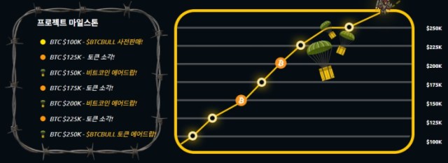 BTC 불 토큰