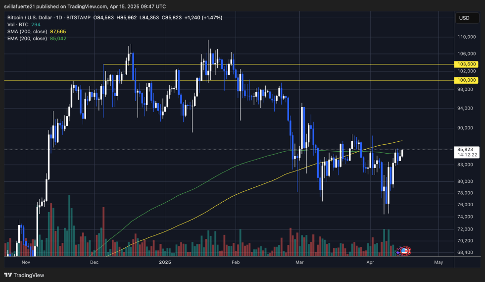 BTC trading below the 200-day MA | Source: BTCUSDT chart on TradingView