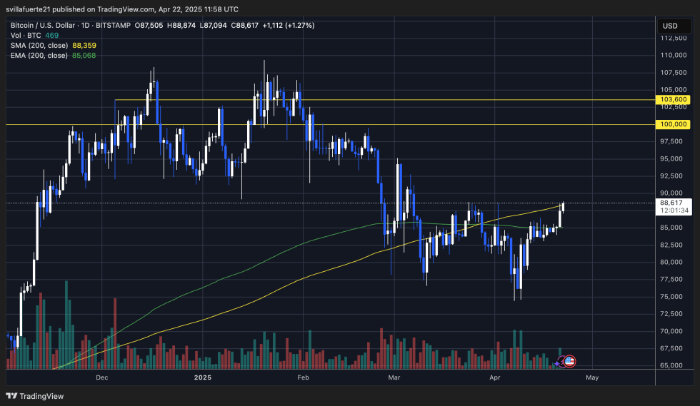 BTC testing the 200-day SMA | Source: BTCUSDT chart on TradingView