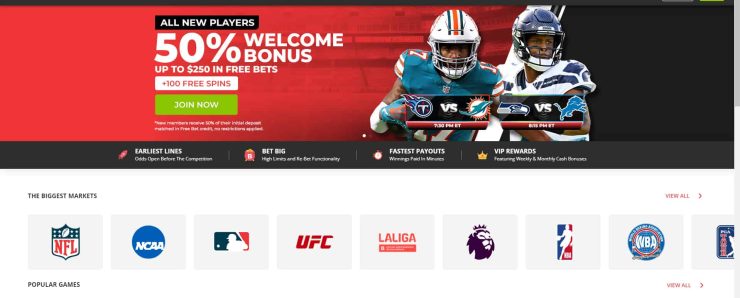 BetOnline Signup Step 3