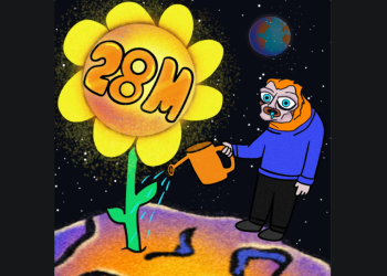 Bitcoinist solana