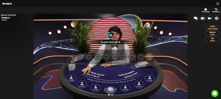 A screenshot of a one of Wild Casino's live blackjack tables, showing the betting window is open.
