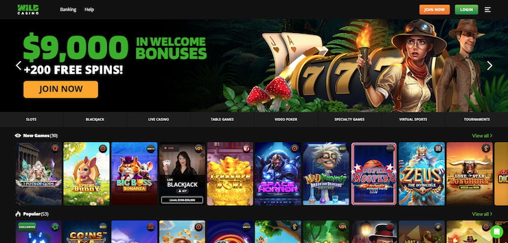 A snapshot of the Wild Casino homepage.
