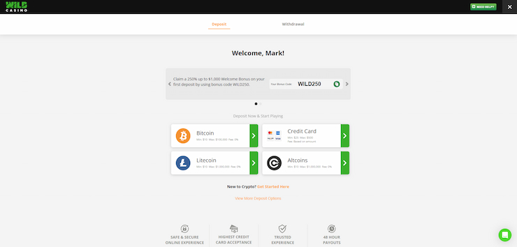 A screenshot showing the deposit options at Wild Casino.