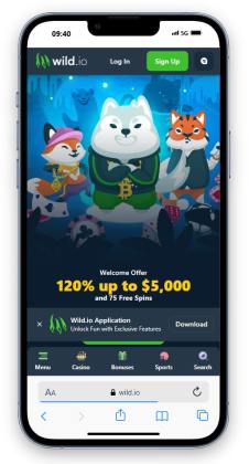 The Wild.io casino homepage for Canadians.