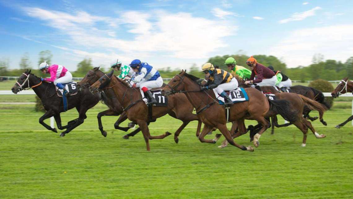 apuestas de caballos