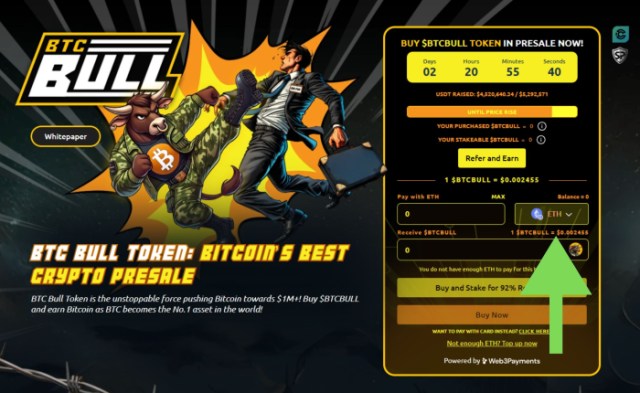 BTC Bull Token payment methods