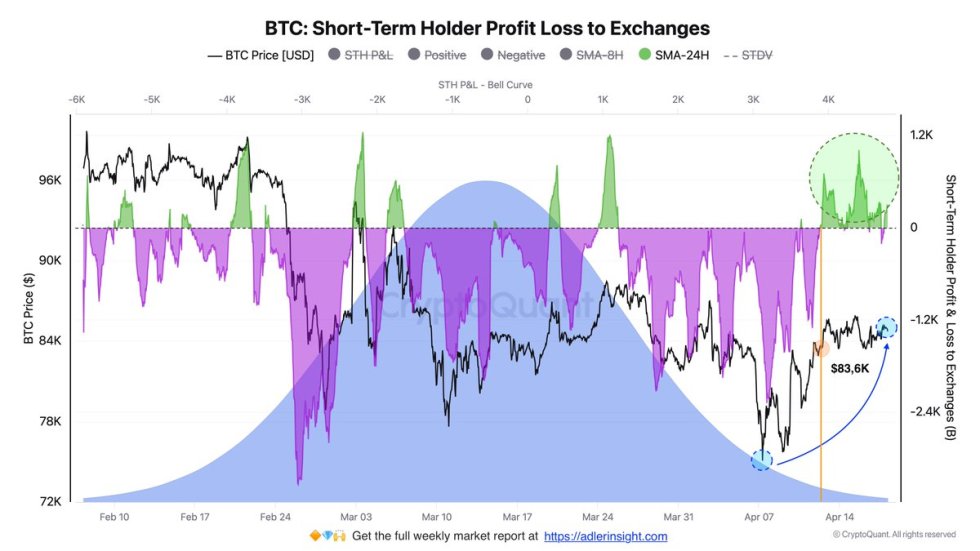 Bitcoin Short-Term Holder PnL to Exchanges | Source: Axel Adler on X