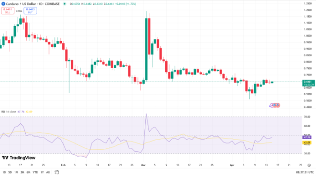 카르다노 RSI