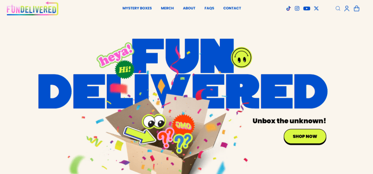 fundelivered mystery box