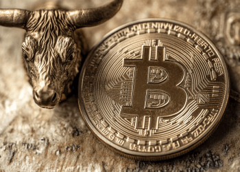 Experte und Bitcoin-Millionär MMCrypto: “Bitcoin Notfall voraus!”