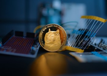 meme coiny