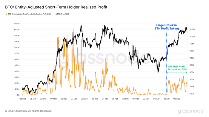 Bitcoin entity-adjusted short-term holder. 