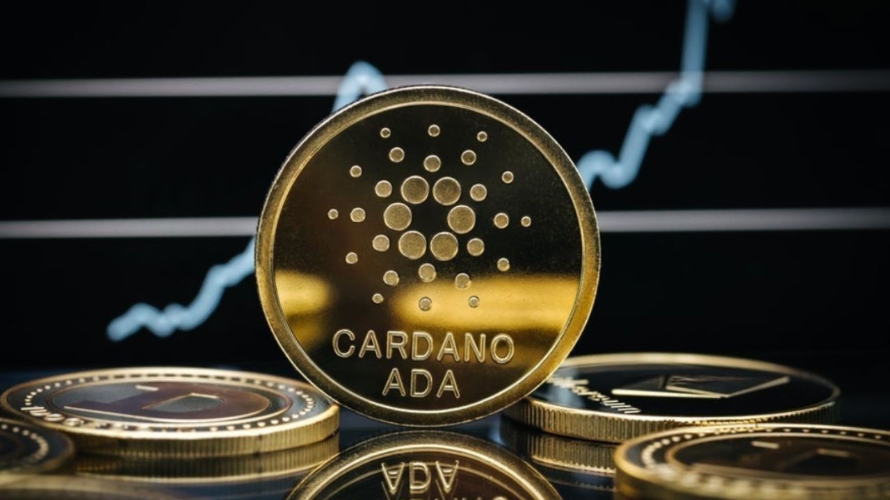 Cardano