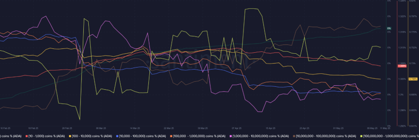 Cardano whales, Santiment