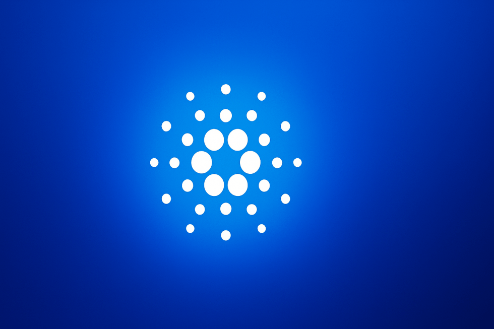 Cardano news