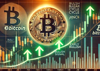 Bitcoin Bull-Bear Cycle Indicator Flashes First Bullish Signal Since February – Details