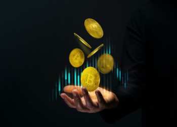 Dari Mimpi Dogecoin ke Peluang Solaxy- Bagaimana Investor Bisa Ubah Rp160 Juta Jadi Rp16 Miliar