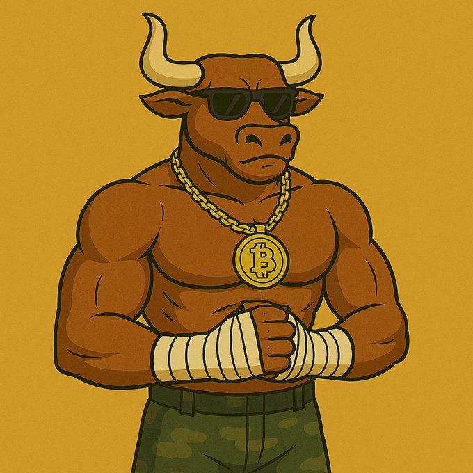 BTC Bull Token（BTCBULL）