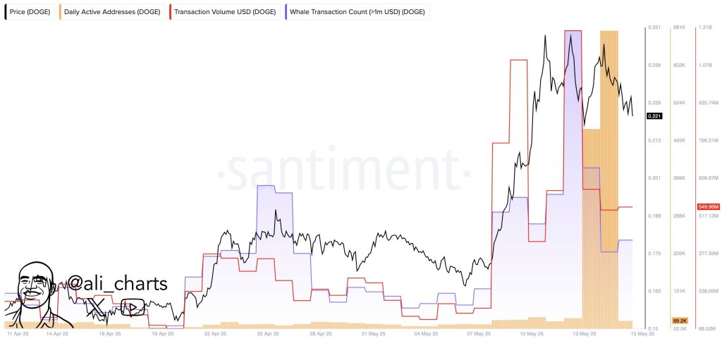 Dogecoin on-chain activity