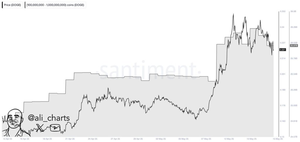 Dogecoin whale activity