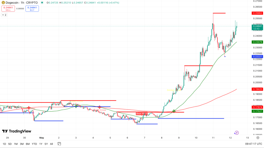 Dogecoin koers - bron: TradingView kan dogecoin 1 euro worden