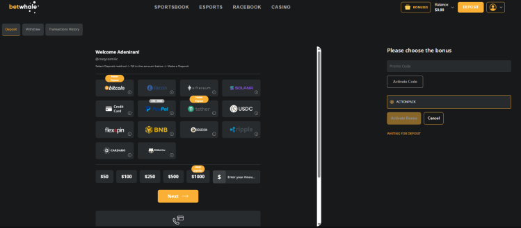 BetWhale sportsbook deposit page