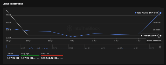 Shiba Inu large transactions