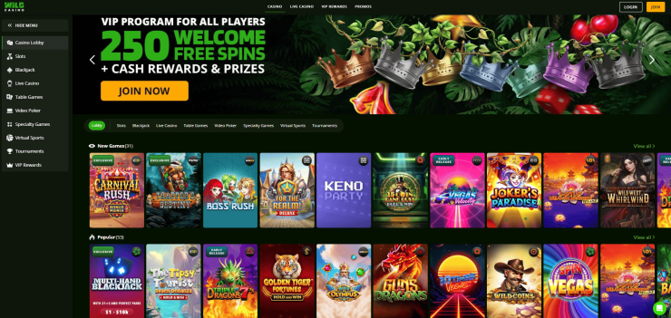 A screenshot of the Wild Casino home page