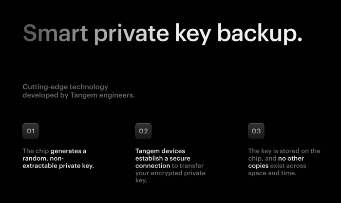 Tangem Wallet private key backup.