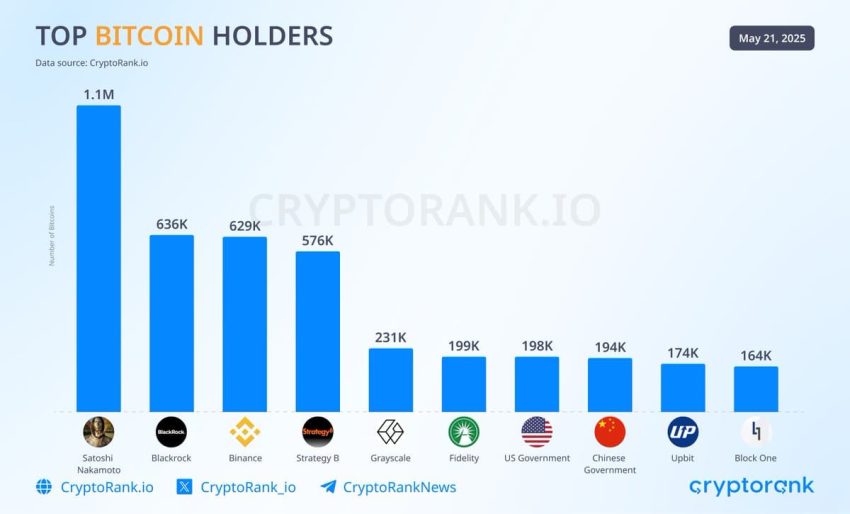 Top Bitcoin houders - Bron: CryptoRank