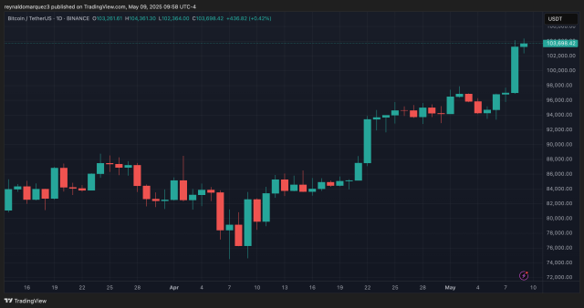 Whitebit Bitcoin Price May 2025