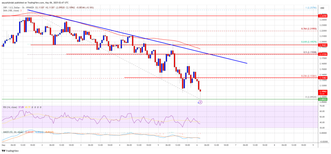 ราคา XRP ถอยหลัง! แนวรับสำคัญกำลังเสี่ยงหรือไม่?