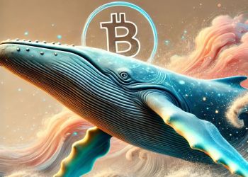 巨鯨操盤策略全揭密：Hyperliquid實戰背後資金流入三大百倍幣布局