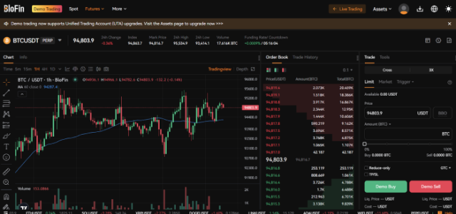 blofin futures trading