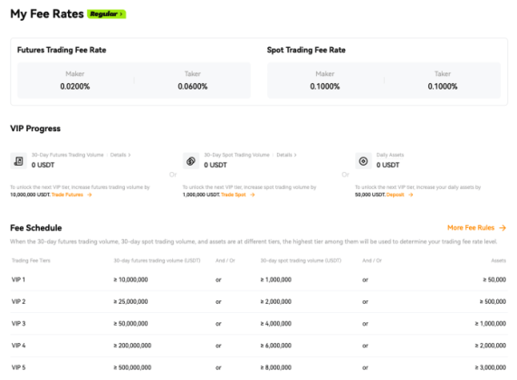 BloFin giełda z dźwignią krypto – porównanie opłat VIP