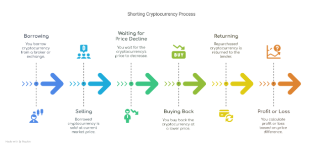 Infographic of the shorting process.