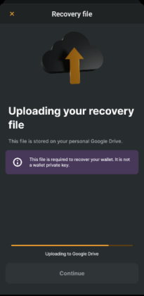 Recovery file upload.