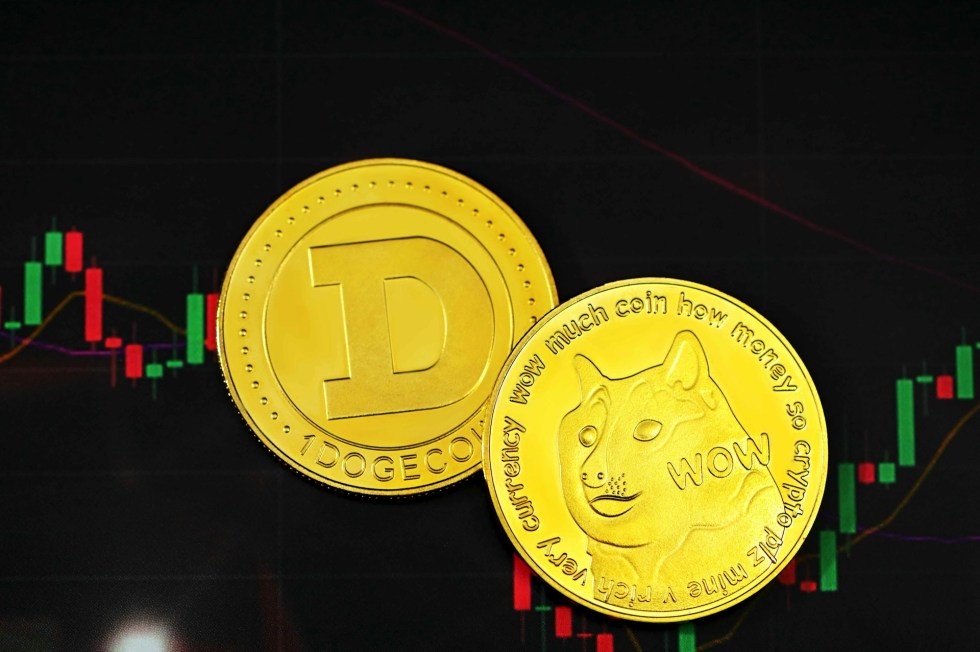 Meme coiny.