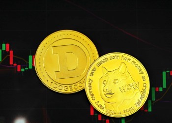 Meme coiny.