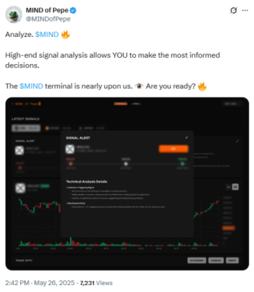 is-a-meme-coin-rally-incoming-alongside-x-money MIND of Pepe Terminal