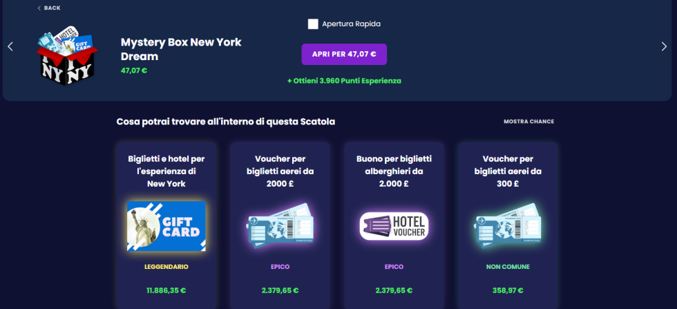 new york dream mystery box