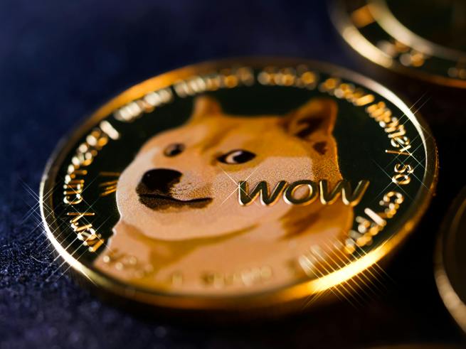 doge coin