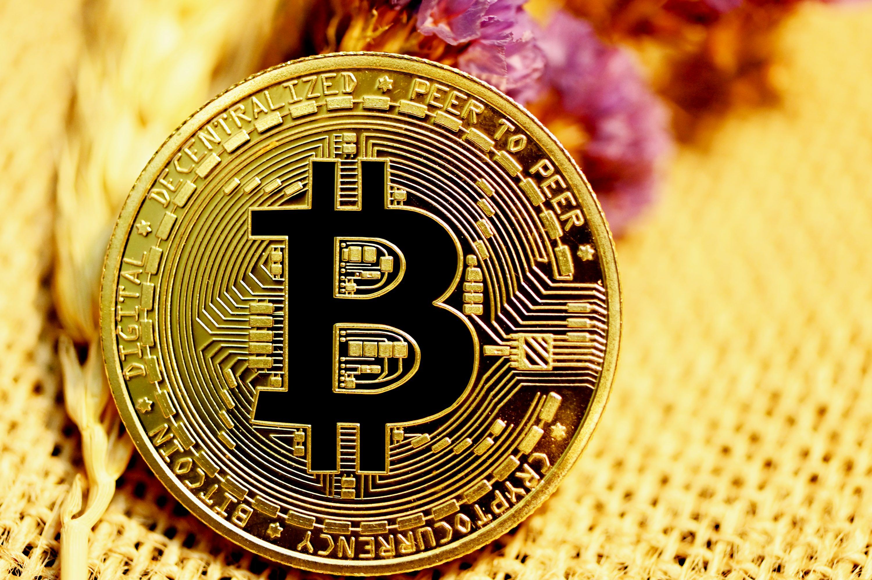 BTC меме токен